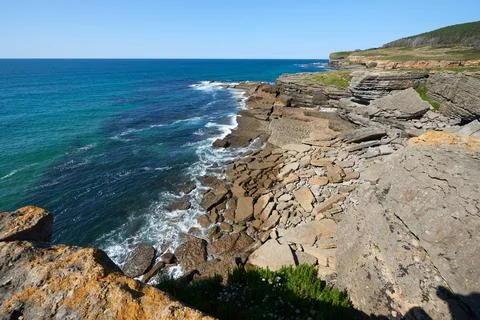 Cliffs surrounded by vegetation under a cloudless sky. Stock Photos