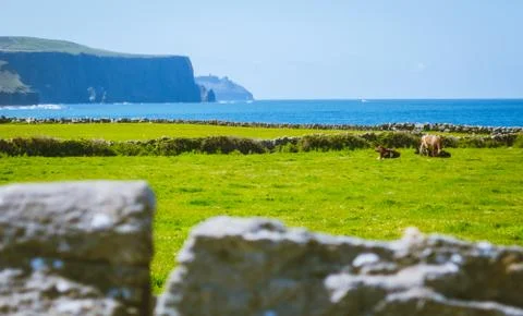 Cliffs_of_Moher_doolin Stock Photos