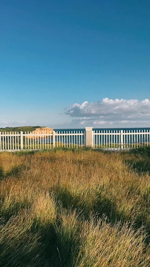 Cliffs,cliffside,water,landscape, sky, field, grass, nature, Stock Footage 233711469
