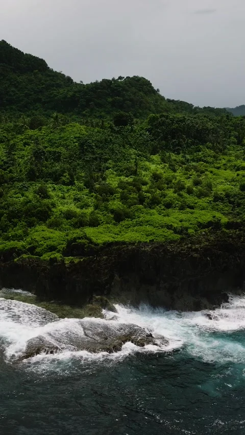 Cliffside coast with lush green forest. Siargao, Philippines. Stock Footage 323145948