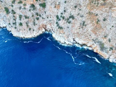Cliffside forest coastline Stock Photos