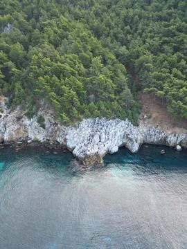 Cliffside forest coastline Stock Photos