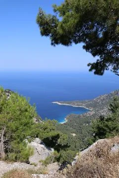 Cliffside forest coastline Foto stock