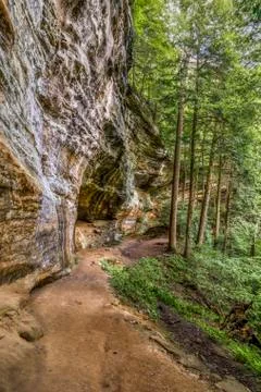 Cliffside Forest Trail Stock Photos