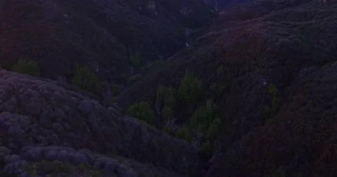 Cliffside landscape view of forest mountain sunset Stock Footage 136336936