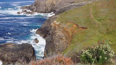 Cliffside path along green grass next to chrashing waves. Stock Footage 157653531