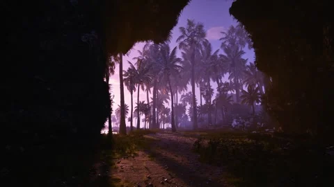 Cliffside Sunset Waves Stock Footage 321472961