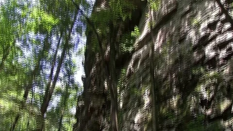 Cliffside tilt Stock Footage 91903706