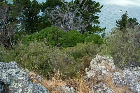 Cliffside View Overlooking Forest and Water Stock Photos
