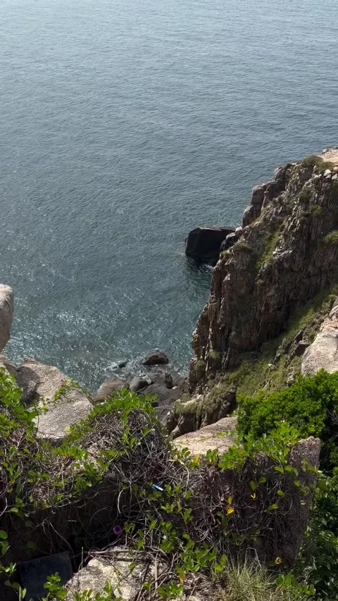Cliffside View Overlooking Ocean and Rocks Video stock 341317549