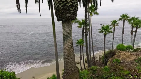 Cliffside View of Waves Crashing at Laguna Beach, Wide Angle Stock Footage 288408077