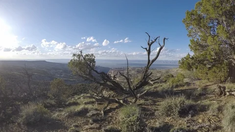 Clifftop sunset timelapse bright sun to dusk Stock Footage 107693688