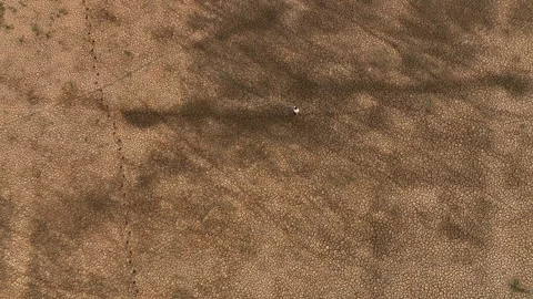 Climate action and drought Video stock 248201951