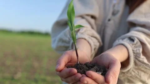 Climate action begins today Vidéo 337941703