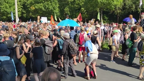 Climate activists blocking the A12 highway in The Hague Stock Footage 249995312
