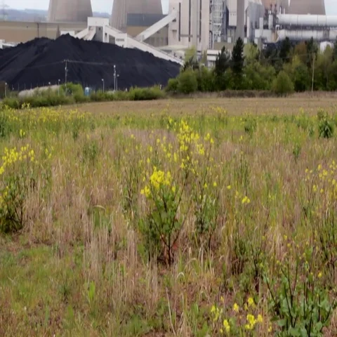 Climate Change in Action from Nuclear Power Station 動画素材 69548911