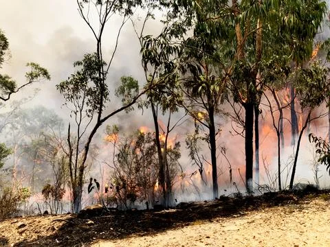 Climate Change and Australian Bushfire 스톡 사진