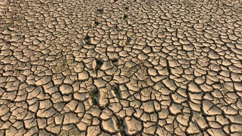 Climate change and drought Video stock 210511766