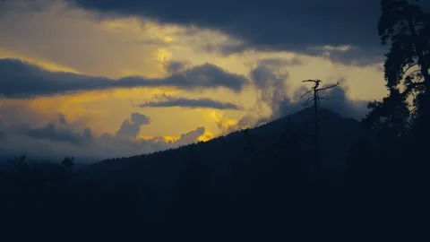 Climate change and environmental crisis concept Stock Footage 337239427
