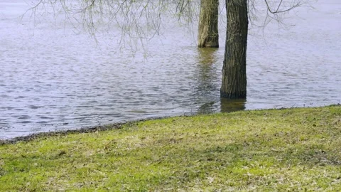 Climate Change And Flooding Impact, This footage can be used for documentaries Vidéo 334667697