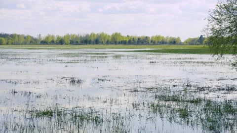 Climate Change And Flooding Impact On Agricultural Land, Waterlogged Field Vidéo 334667728