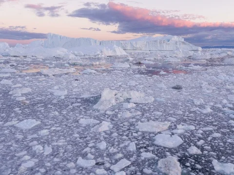 Climate Change and Global Warming - Icebergs from melting glacier in icefjord Stock Footage 80813091