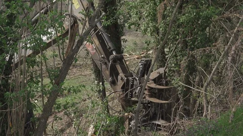 Climate change and global warming: deforestation stock footage. Stock Footage 106370738