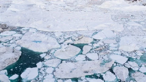 Climate Change and Global Warming - Icebergs drone aerial video top view Stock Footage 114158809