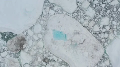 Climate Change and Global Warming. Icebergs from melting glacier 스톡 동영상 203242965