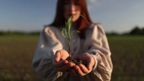Climate change and hope Stock-Footage 337941716