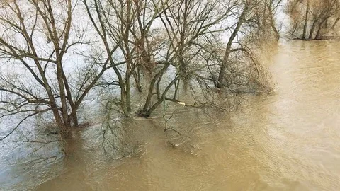 Climate change causing flood on river Rhine Stock Footage 120021183