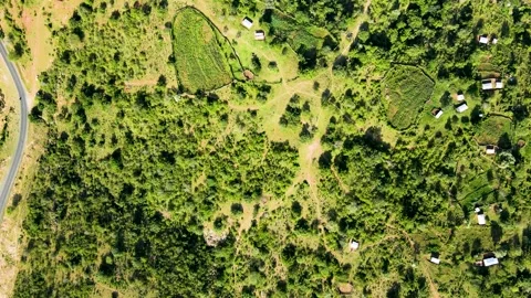 Climate change concept cop Kenya. Birdseye aerial view of Africa Kenya, Video stock 247533136