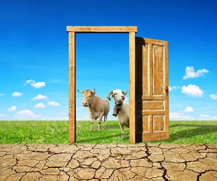 Climate change concept. Foto stock
