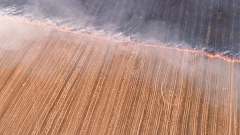 Climate change danger burning rural field fire Stock Footage