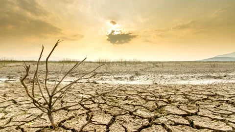 Climate Change Drought affect 스톡 동영상 210498368