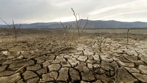 Climate Change Drought impact 스톡 동영상 210503950