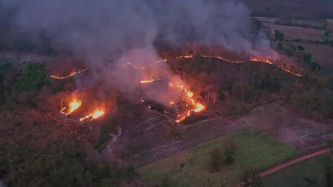 Climate change effect many risk to human, life on earth and drought. Stock Footage