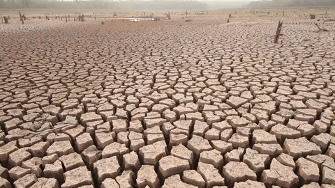 Climate change Video stock 79669307