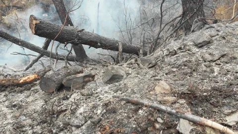 Climate change Stock Footage 201490118