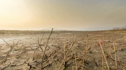 Climate Change Video stock 210501164