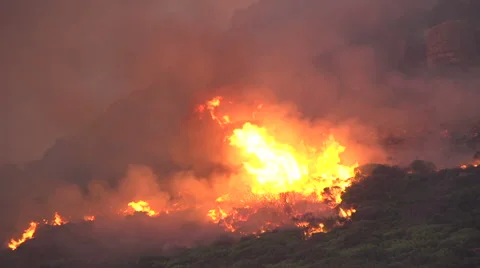 Climate change. Global warming Cape Town-March,2015: Fierce bush fires Stock Footage 51170821