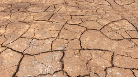 Climate Change Global Warming drought Dry Land 4K loop Stockbeeldmateriaal 239241141