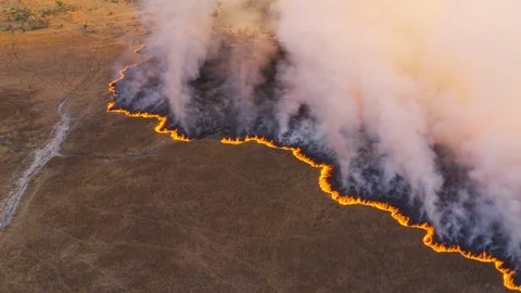 Climate change, global warming. Grass fire in Africa Stock Footage 118288086