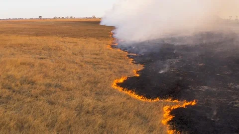 Climate change, global warming. Grass fire in Africa Vídeo Stock 118288746