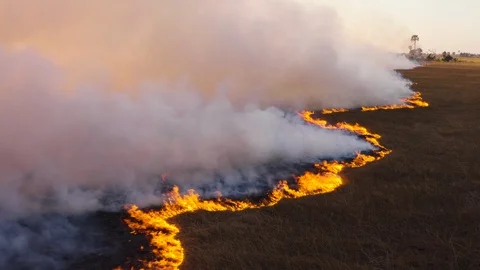 Climate change, global warming. Grass fire in Africa Stock Footage 118288759