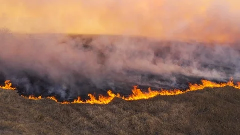 Climate change, global warming. Grass fire in Africa Видео