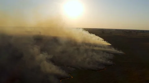 Climate change, global warming. sunset view of grass fire in Africa Stock Footage 118289277