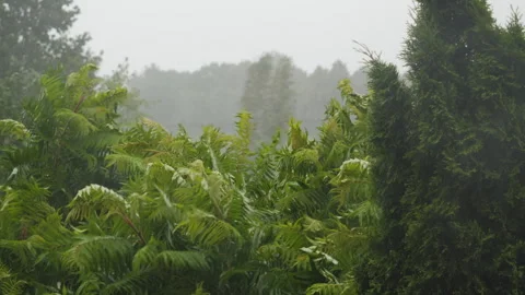 Climate Change Hurricane Outside, Heavy Rain With Wind, Thunderstorm. Scary.. Video stock 330132106