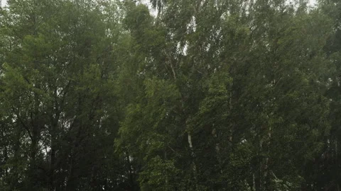Climate Change Hurricane Outside, Heavy Rain With Wind, Thunderstorm. Scary.. Stock Footage 330132159