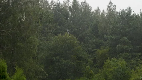 Climate Change Hurricane Outside, Heavy Rain With Wind, Thunderstorm. Scary.. Video stock 330134132